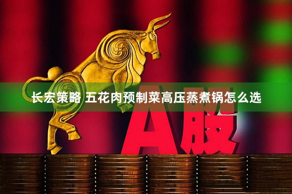 长宏策略 五花肉预制菜高压蒸煮锅怎么选